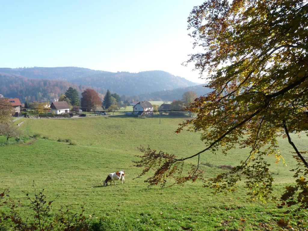 르호왈드 Locations Dupertuis Alsace 아파트 객실 사진