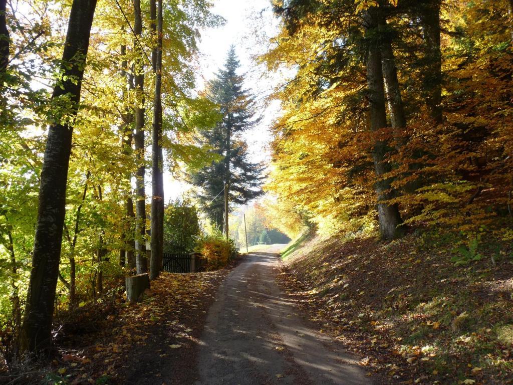 르호왈드 Locations Dupertuis Alsace 아파트 외부 사진