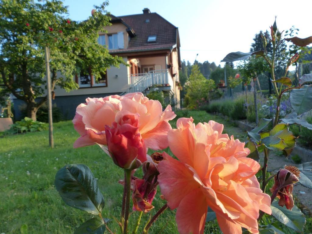르호왈드 Locations Dupertuis Alsace 아파트 외부 사진