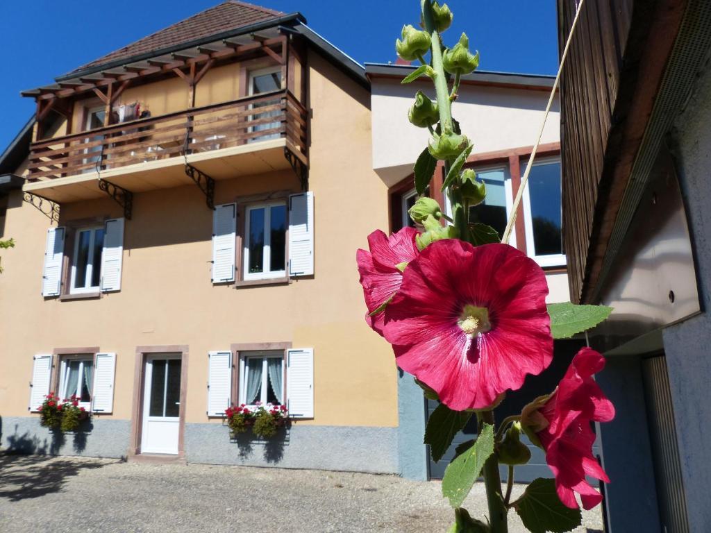 르호왈드 Locations Dupertuis Alsace 아파트 외부 사진